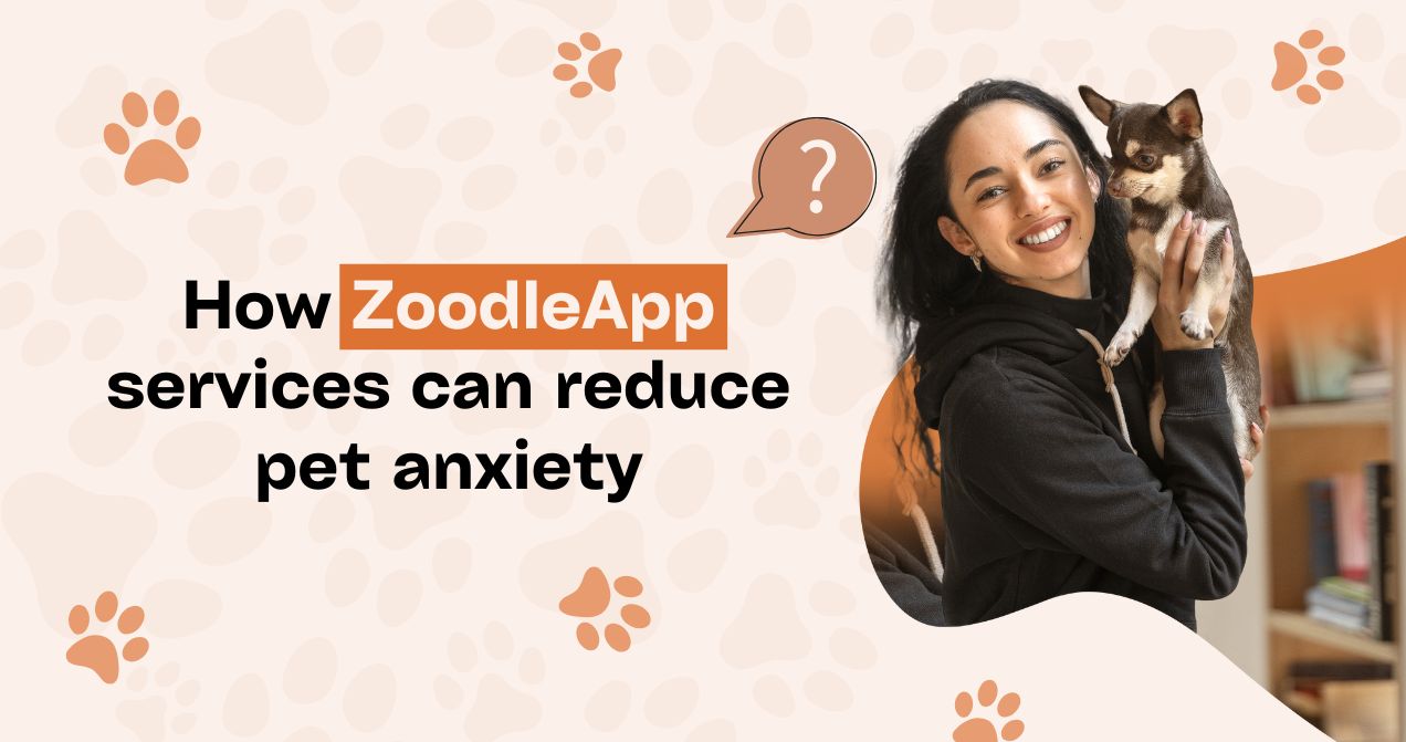 How ZoodleApp Services Can Reduce Pet Anxiety